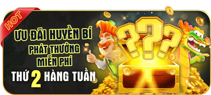Hoàn trả hàng tuần cao cấp 8day8